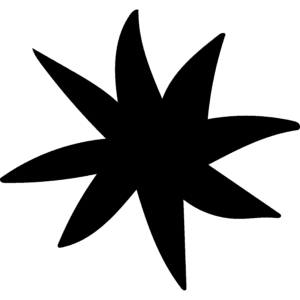 Ikona badyánu