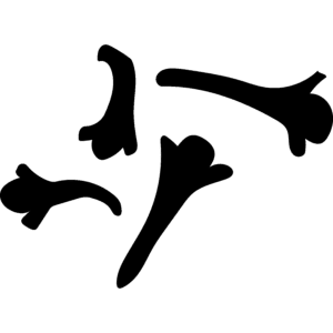 Ikona hřebíčku