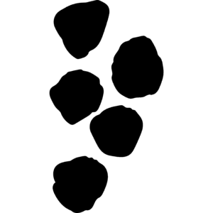 Ikona pepře