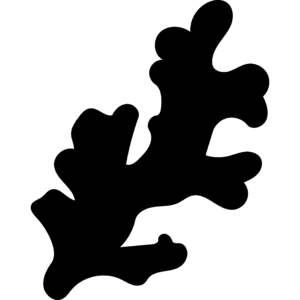 Ikona zázvoru