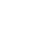 TOM CHAi logo