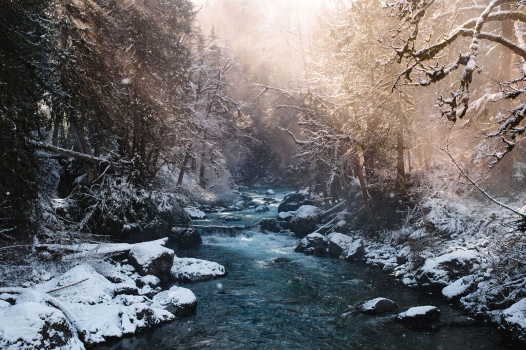 Koryto řeky v zimní přírodě